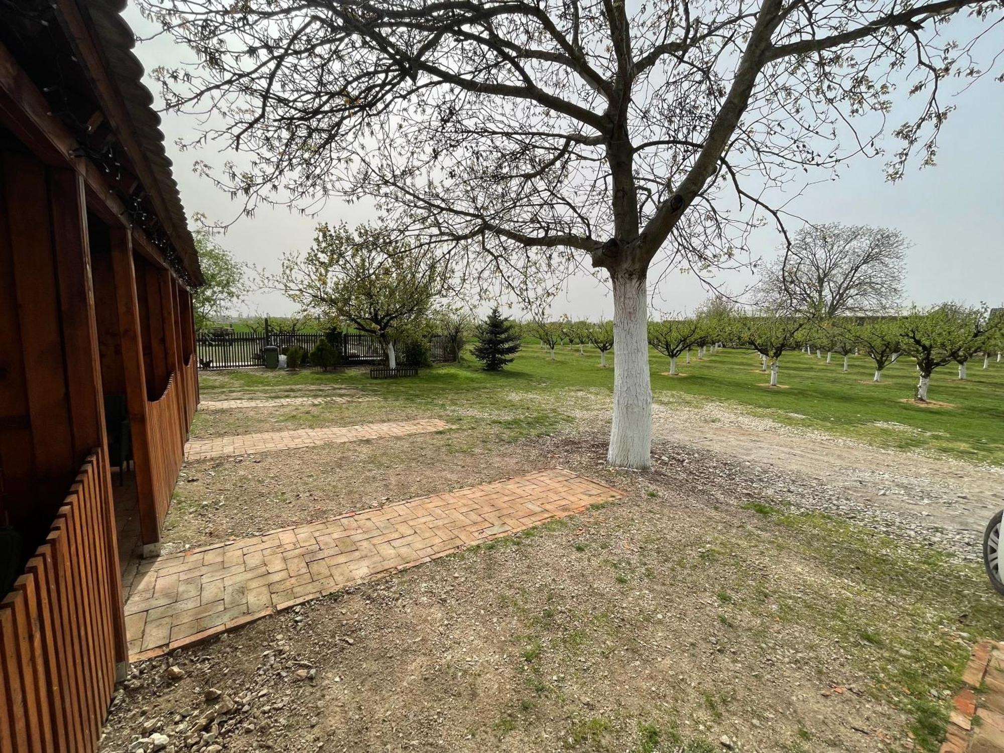 Salas Isailovi Sremska Mitrovica Exterior photo